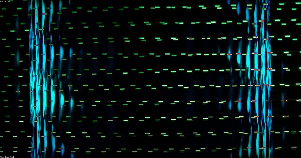 The Observer Pattern Is Everywhere in JavaScript — Once You See It